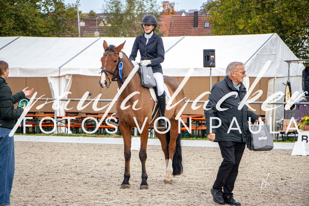 IMG_6992 | Erleben Sie dynamische Sport- und emotionale Tierfotografie in Süddeutschland mit Fotos von Paula. Spezialisiert auf Pferde- und Hundefotografie sowie Sportevents. Kontaktieren Sie mich für einzigartige und ausdrucksstarke Bilder Ihrer besonderen Momente. - Realisiert mit Pictrs.com