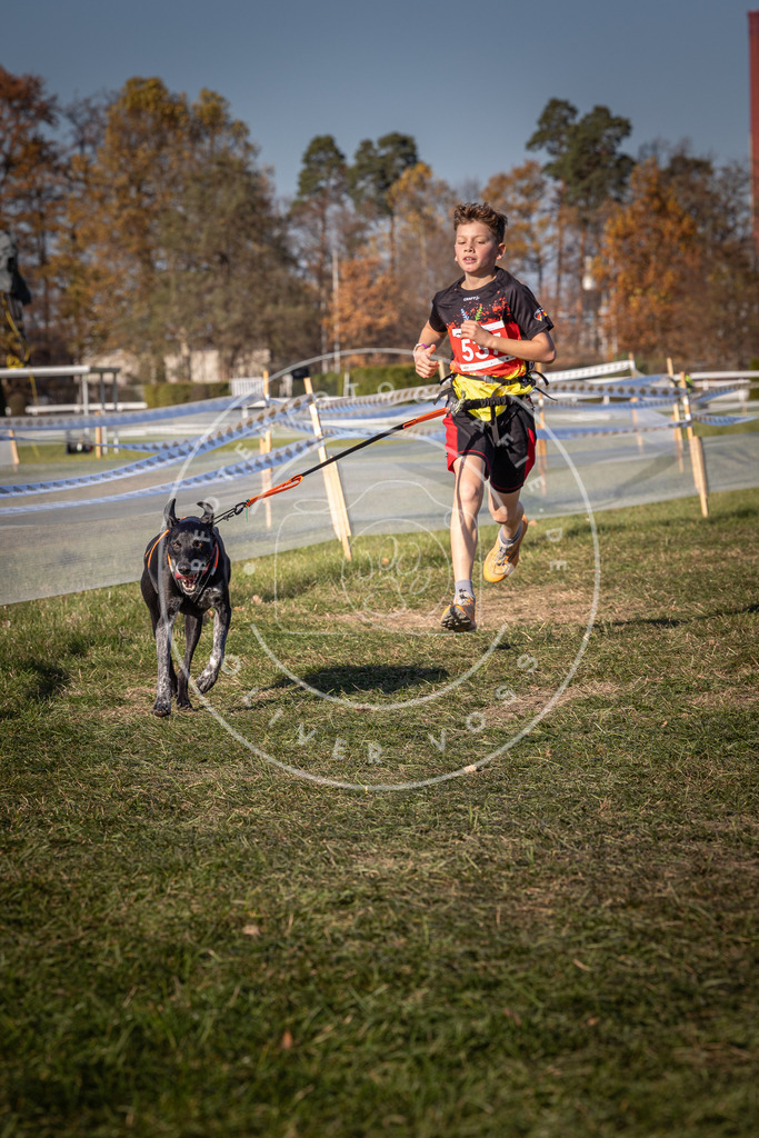 CaniXpix_0L8A7450 | Hundefotografie, Tierfotograf, Pfotenfotografie, Fotoshooting Hund, Hunde Portrait, Hundesport, Hundeportraits, Heideshooting, Hunde, Sportfotograf, Hundefotograf, Turnierhundsport, THS,  - Realisiert mit Pictrs.com