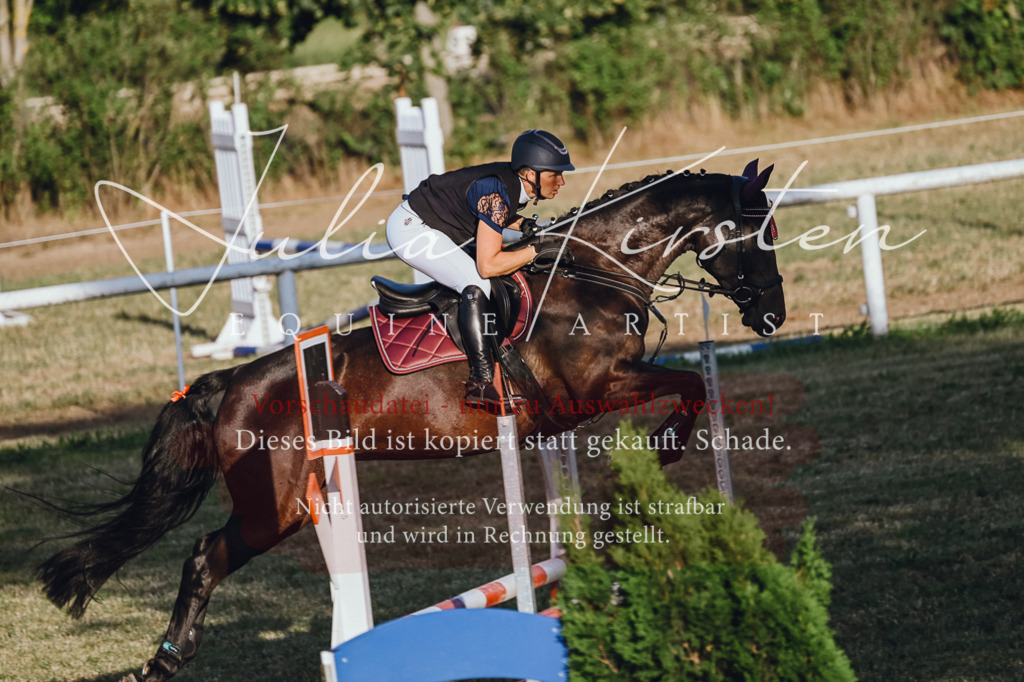 DSC_3242 | Pferde- und Turnierfotografie in Westsachsen. Pferdeportraits, Auftragszeichnungen und intuitive Kunst.