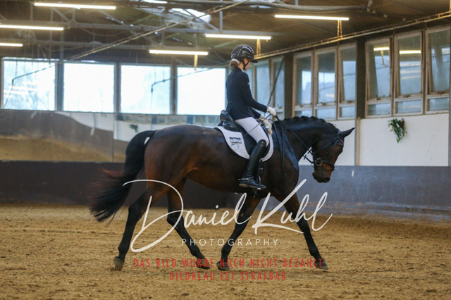 IMG_7577 | Turniersportfotografie; Pferdefotografie; Dressurfotografie