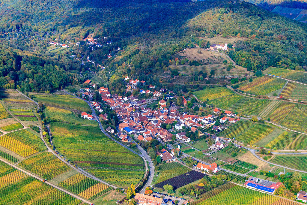 Luftbild: Winzerdorf am Haardtrand von Südosten in Leinsweiler im Bundesland Rheinland-Pfalz in Deutschland. Foto: IMG_22376.jpg vom 15.10.2009 durch Werner Riehm/FLY-FOTO.de