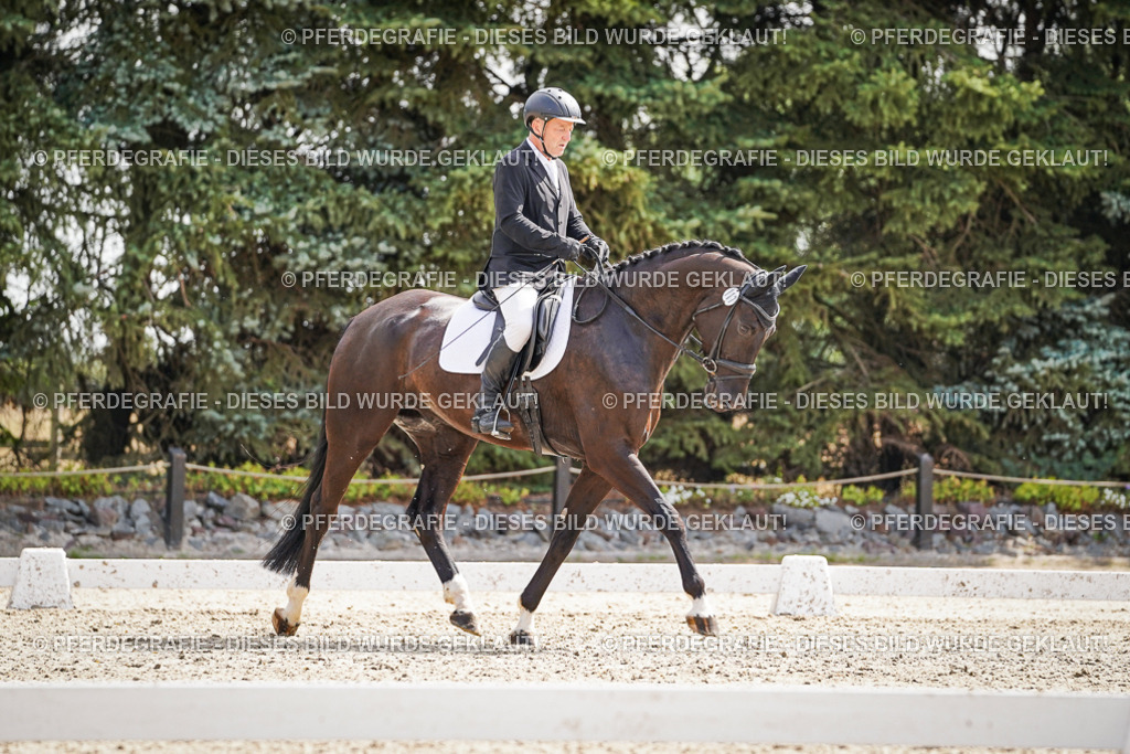 DSC08704 | Pferdegrafie