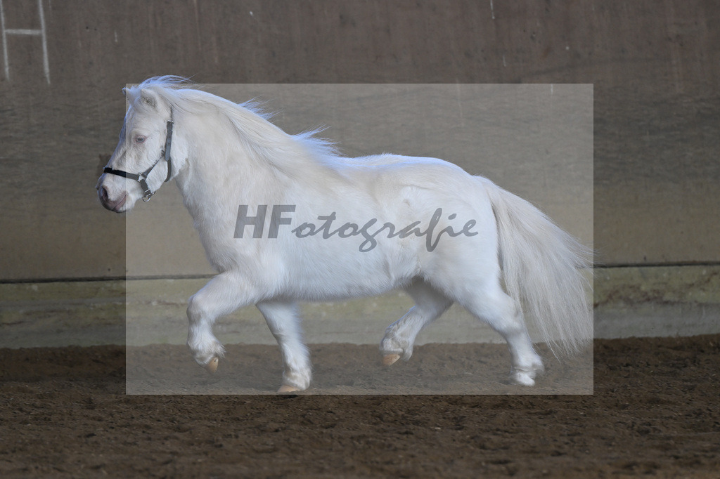 Kat-Nr. 14 Elmhorst Irish Cream v. Elmhorst Irish Coffee_Elmer_49250638 | hf-fotografie - Realisiert mit Pictrs.com