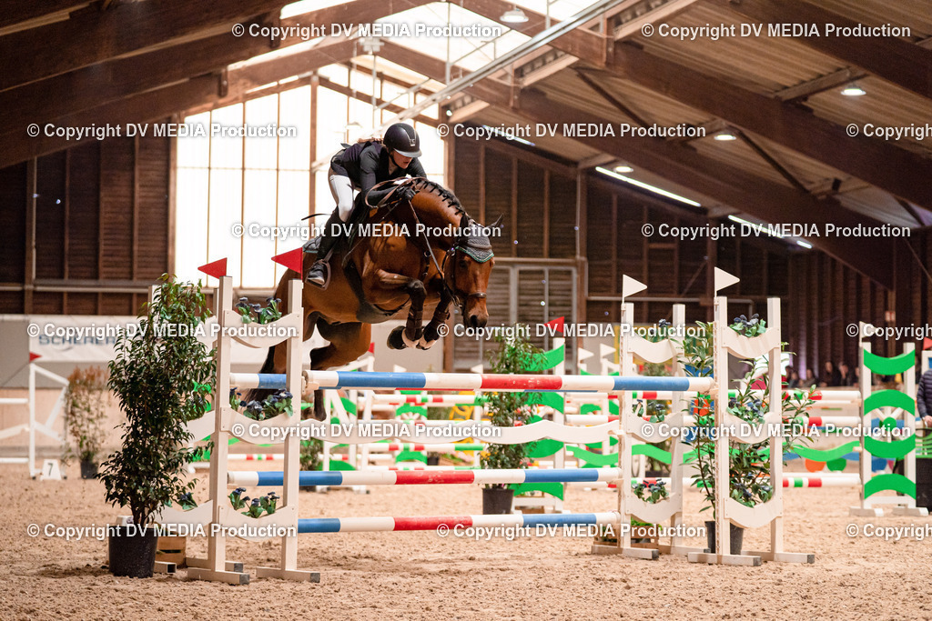 Springen Tag 3-318 | dv-media-shop - Realisiert mit Pictrs.com