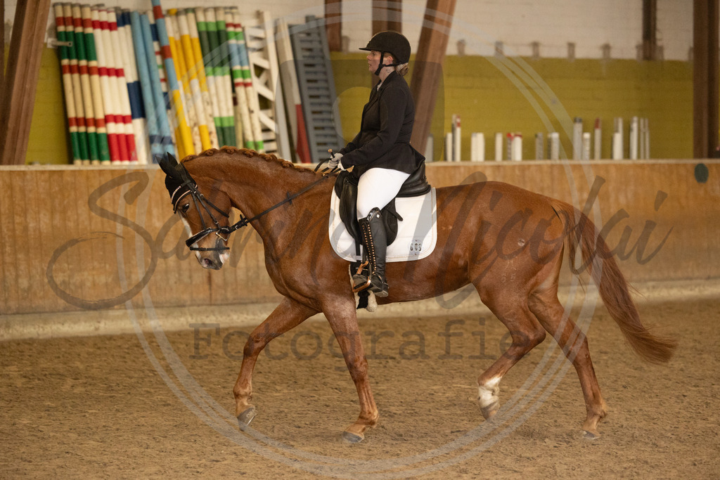 994A9258 | sabrinanicolaifotografie - Realisiert mit Pictrs.com