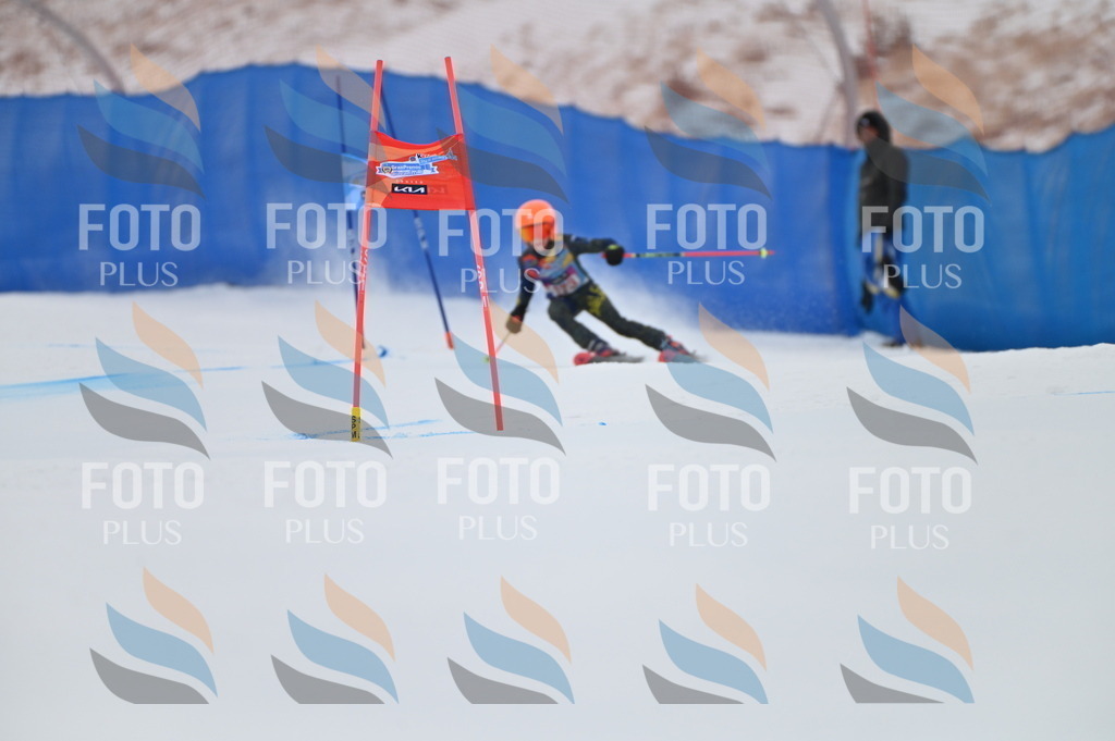 BGV_0714 | holidayphoto