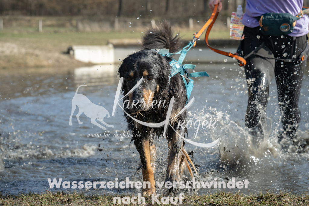 1337_ZZ97638 | kk-dogfotos