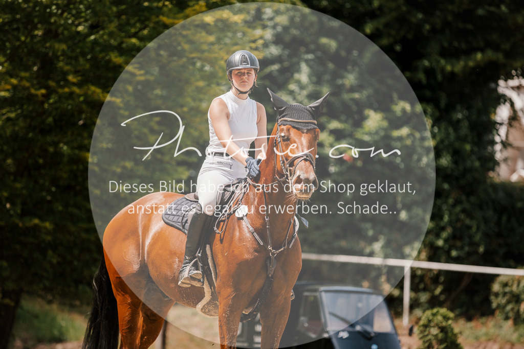 3I6A7803 | Stimmungsvolle Portraits und Reitsportfotografie im Ruhrgebiet und im Münsterland.

Pferdefotografie, Hundefotografie, Tierfotografie, Reportagen, Portraits von Tier und Mensch, Turnierfotografie in Bochum, Recklinghausen, Marl, Haltern am See, Dülmen.. - Realisiert mit Pictrs.com