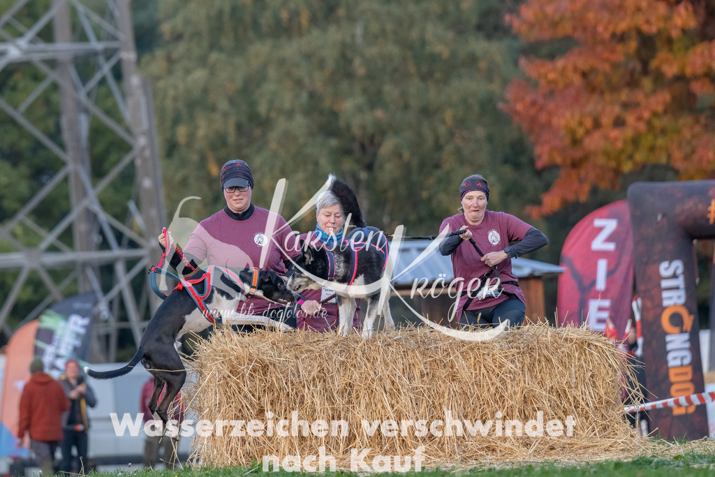 0826_ZZ90615-Bearbeitet | kk-dogfotos