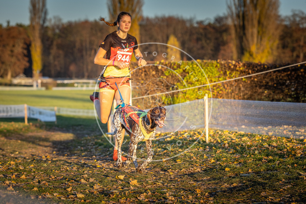 CaniXpix_DV3A5443 | Hundefotografie, Tierfotograf, Pfotenfotografie, Fotoshooting Hund, Hunde Portrait, Hundesport, Hundeportraits, Heideshooting, Hunde, Sportfotograf, Hundefotograf, Turnierhundsport, THS,  - Realisiert mit Pictrs.com