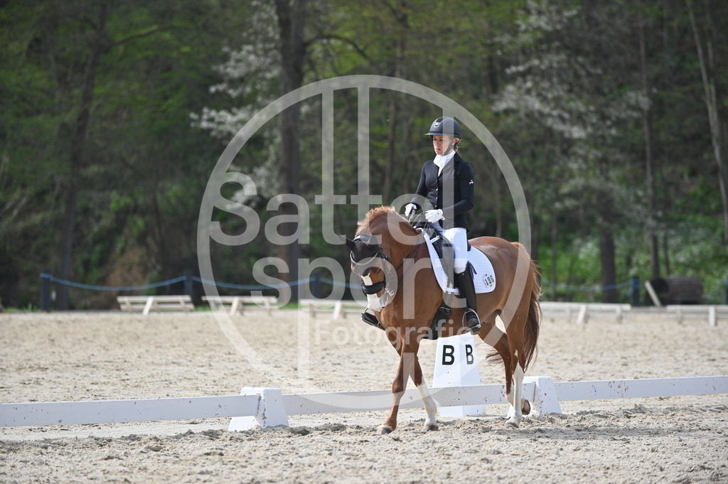 DSC_4620 | sattelsport - Realisiert mit Pictrs.com