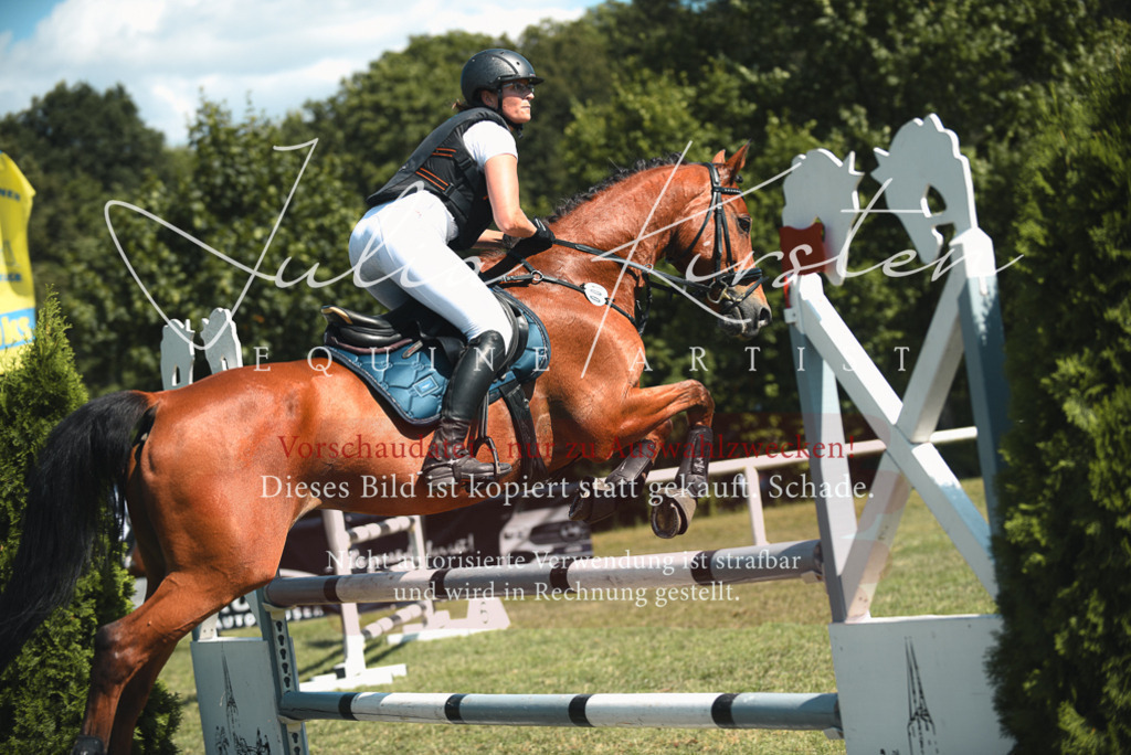 DSC_6955 | Pferde- und Turnierfotografie in Westsachsen. Pferdeportraits, Auftragszeichnungen und intuitive Kunst.