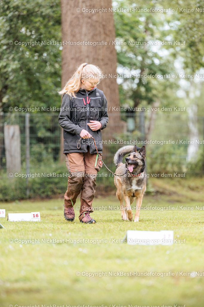 RO-Blumenthal-2026-Nickbest-Hundefotografie-4982 | Dein Hund! Dein Moment! Deine Erinnerungen! Hundefotografie in Bremen Blumenthal. Ich fange die besonderen Momente deines Vierbeiners ein – ob Indoor mit Blitzanlage oder in der freien Natur. Sicher dir dein Moment und dein Termin für eure Erinnerungen.