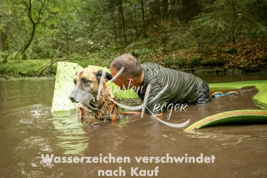 1410_ZZ91278-Bearbeitet | kk-dogfotos