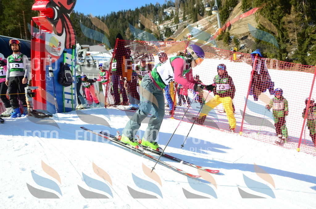 C6201 | holidayphoto