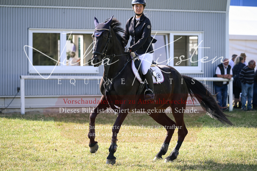 DSC_1160 | Pferde- und Turnierfotografie in Westsachsen. Pferdeportraits, Auftragszeichnungen und intuitive Kunst.
