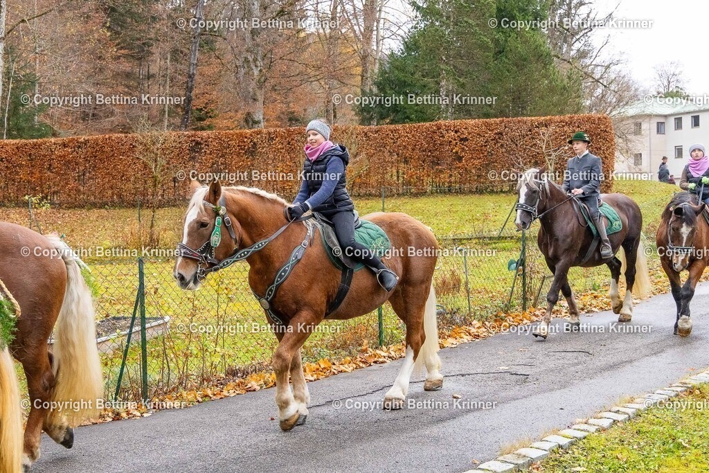 LL25-114 | foto-bettina-krinner - Realisiert mit Pictrs.com