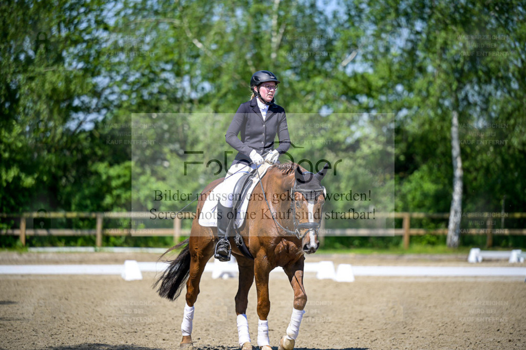 Reitturnier Lienen | Entdecke hochwertige Reitturnierfotos von Foto Oger. Professionell, emotional und authentisch – jetzt Lieblingsmomente im Shop bestellen. - Realisiert mit Pictrs.com