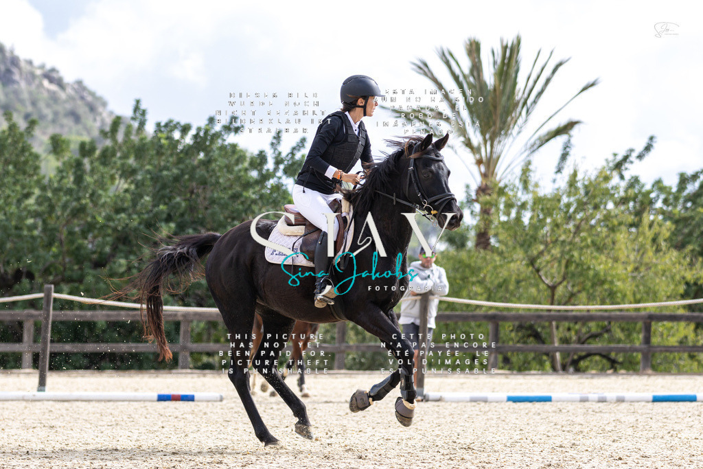 IMG_2505 | s-jay-photography - Realisiert mit Pictrs.com