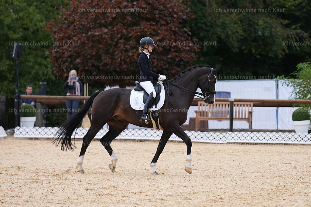 3-147-Dressur M_-Marixx-1866 | working equitationturnier fotograf videograf stoibphotography marixx film working equitation deutschland reitsport turnierfotografie eventfotografie equestrian events