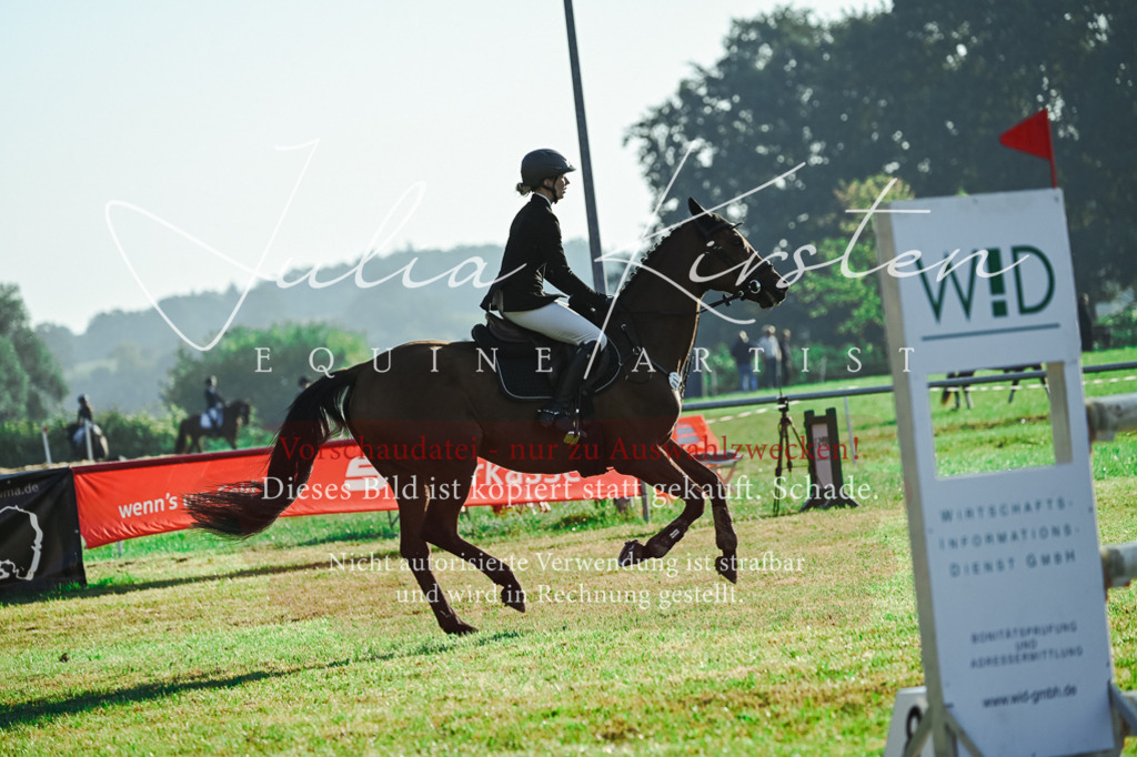 DSC_4294 | Pferde- und Turnierfotografie in Westsachsen. Pferdeportraits, Auftragszeichnungen und intuitive Kunst.