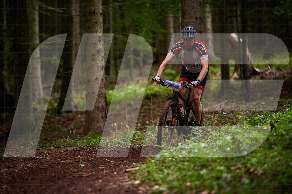Betriebszentrum Laubenbachmühle, Frankenfels, Österreich - 13. September 2025: Dirndltal Race - Fun und Trophy RaceFotograf: Martin Bihounek / martinbihounek.com | 13. September 2025 Betriebszentrum Laubenbachmühle, Frankenfels, Österreich : Dirndltal Race - Fun und Trophy Race •••••Photo by: Martin Bihounek / martinbihounek.comInsta: @martinbihounekcom