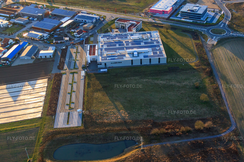 Luftbild: DBK EMS GmbH & Co. KG im Gewerbegebiet Nordring in Rülzheim im Bundesland Rheinland-Pfalz in Deutschland. – Foto: IMG_62281.jpg vom 23.02.2014 durch Werner Riehm/FLY-FOTO.de – Auflösung des Originals: 4752 x 3168 px – DBK Group - Your Partner for Heating & Cooling