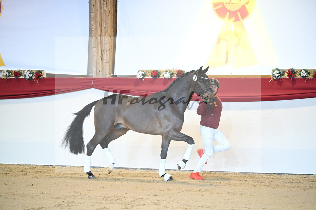 Kat-Nr. 56 Fuerst Samarant_Beckmann_1231289 | hf-fotografie - Realisiert mit Pictrs.com