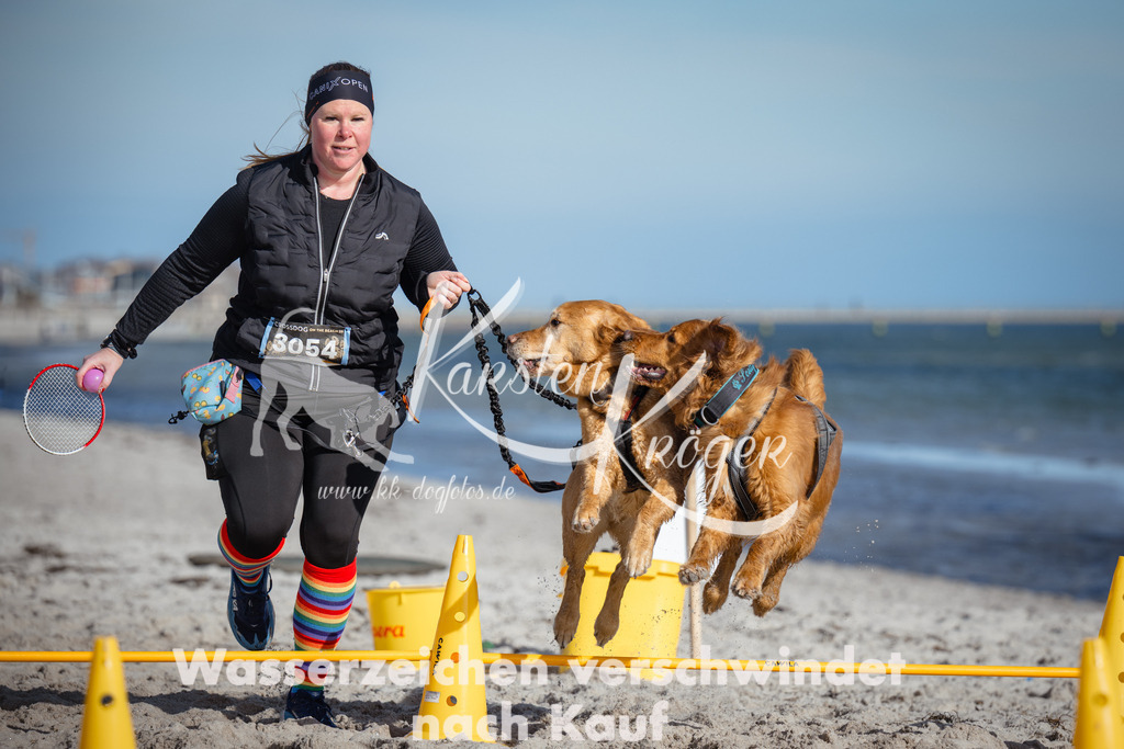 1343_ZZ92930 | kk-dogfotos
