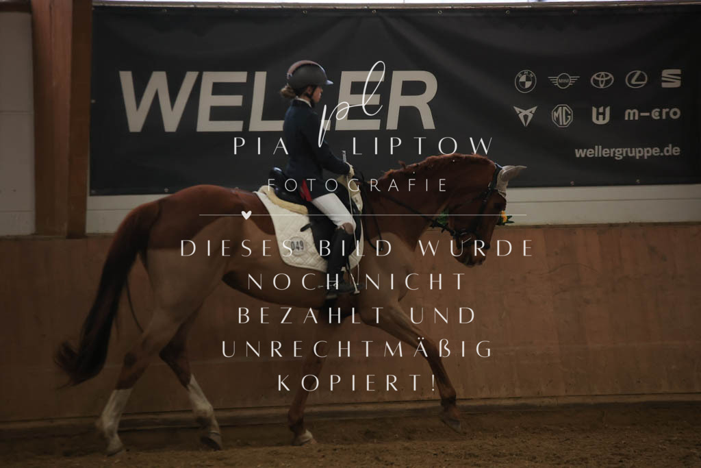 IMGT0681 | pl-fotografie