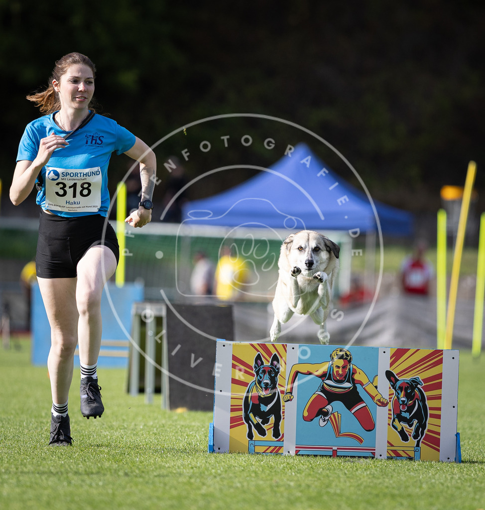Pfotenfotografie_DV3A1995 | Hundefotografie, Tierfotograf, Pfotenfotografie, Fotoshooting Hund, Hunde Portrait, Hundesport, Hundeportraits, Heideshooting, Hunde, Sportfotograf, Hundefotograf, Turnierhundsport, THS,  - Realisiert mit Pictrs.com