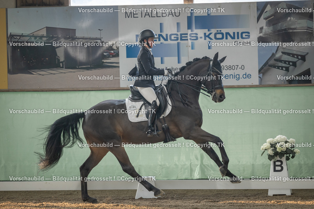 _D5A4100 | Emotionale Pferde- & People-Fotografie rund um Heidelberg, Leimen & Umgebung. Natürliche Fotos von Pferd, Mensch & Familie. Jetzt Termin sichern!