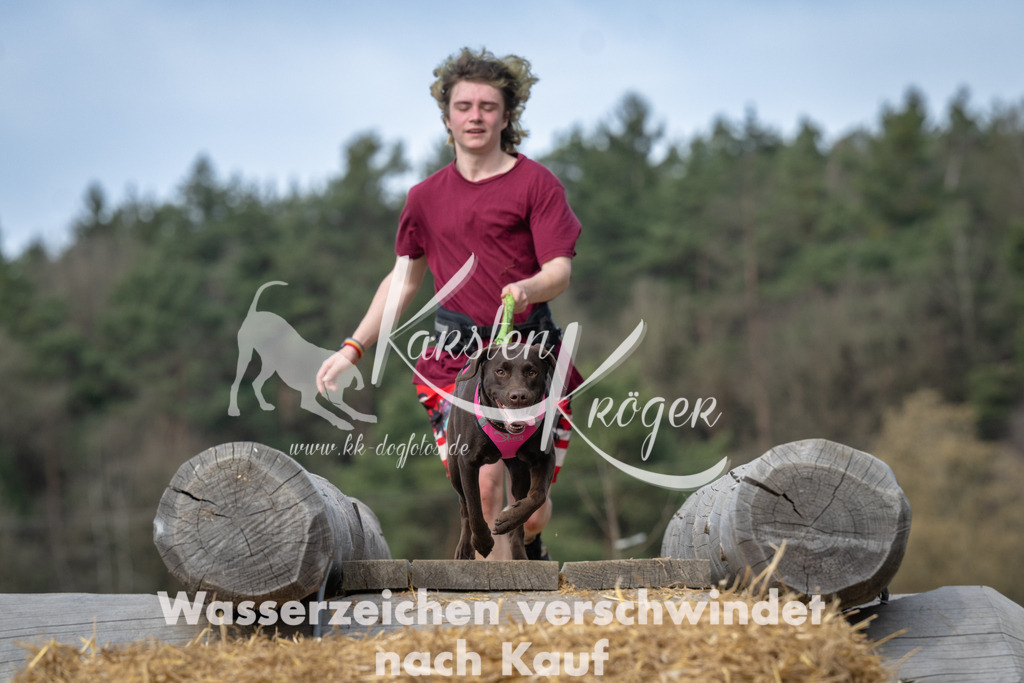 1056_ZZ94921 | kk-dogfotos