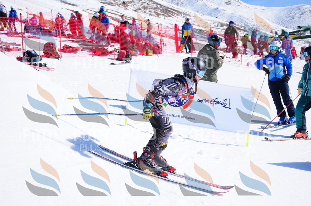 DSC_3893 | holidayphoto