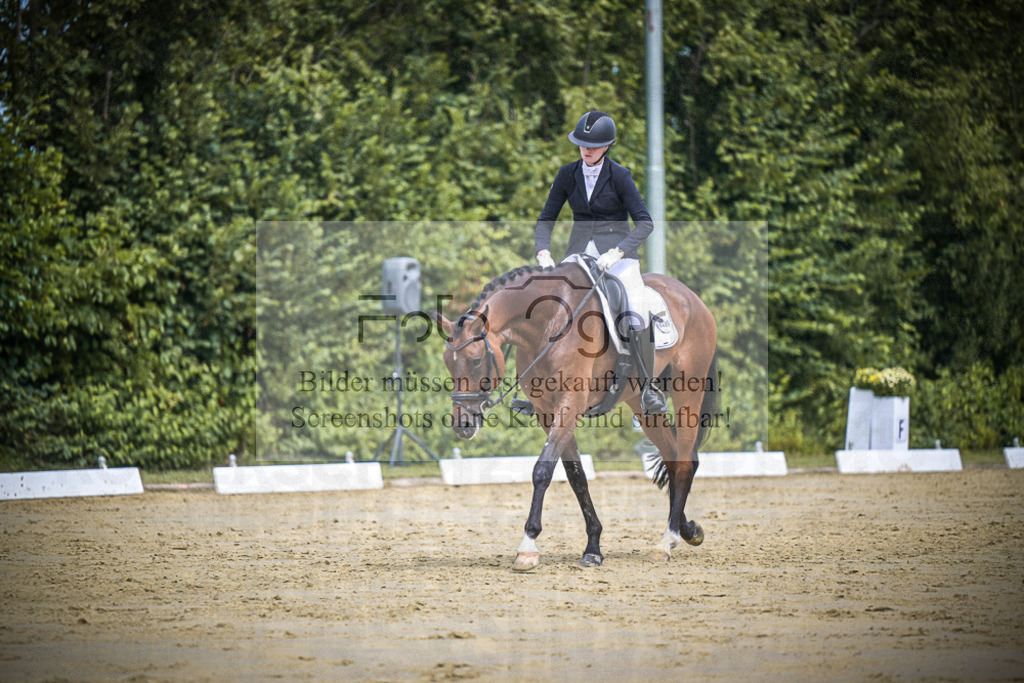 DOS_3060 | Entdecke hochwertige Reitturnierfotos von Foto Oger. Professionell, emotional und authentisch – jetzt Lieblingsmomente im Shop bestellen.Deutschlandweite Turnierfotografie. - Realisiert mit Pictrs.com