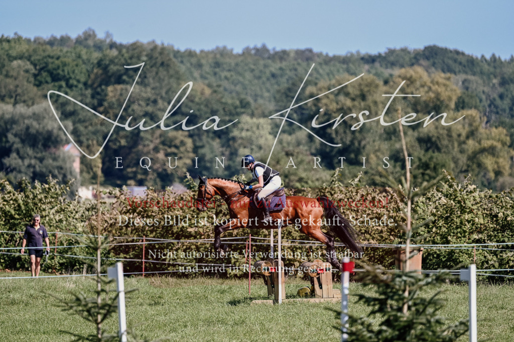 DSC_1974 | Pferde- und Turnierfotografie in Westsachsen. Pferdeportraits, Auftragszeichnungen und intuitive Kunst.