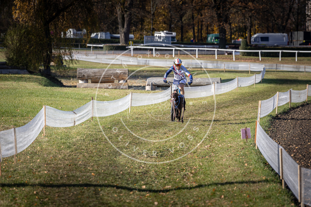 CaniXpix_DV3A3932 | Hundefotografie, Tierfotograf, Pfotenfotografie, Fotoshooting Hund, Hunde Portrait, Hundesport, Hundeportraits, Heideshooting, Hunde, Sportfotograf, Hundefotograf, Turnierhundsport, THS,  - Realisiert mit Pictrs.com