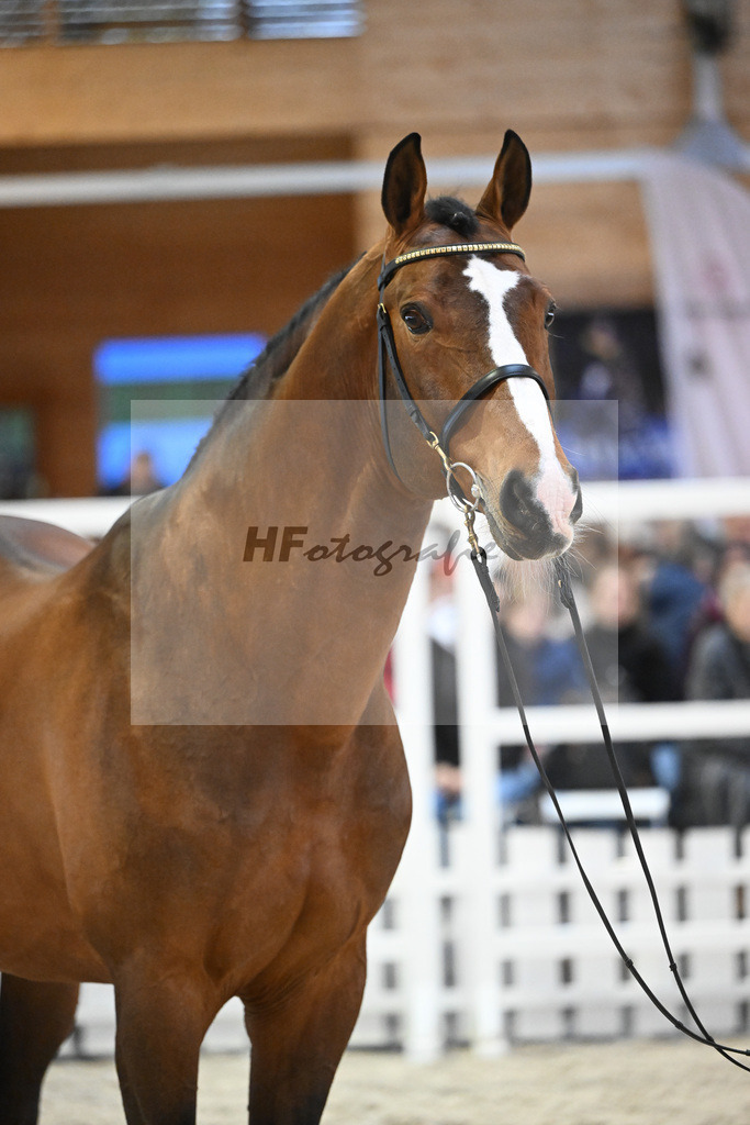 Sanvaro_7240745 | hf-fotografie - Realisiert mit Pictrs.com