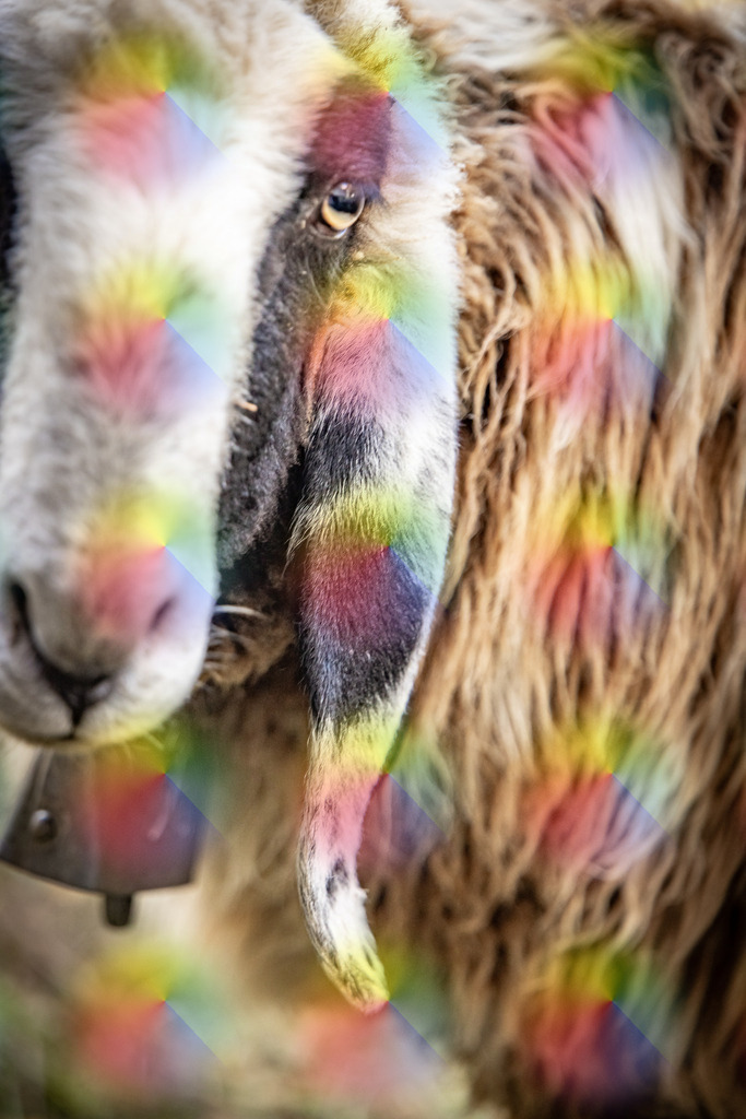 1M5A3718 | FineArtPrint, Hahnemühle, FeeGalerie, Fee Galerie, Fotokunst, Fotografie, Canonphotography, Bergfoto, Matterhorn, Rimpfischhorn, Allalinhorn, Saas-Fee, Wallis, Valais, Switzerland, Bergfotografie