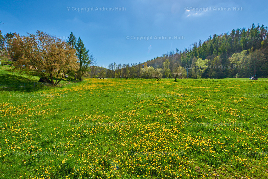 Im Triebischtal bei Neutanneberg 06 | Bedeutsame Landschaften Deutschlands - Realisiert mit Pictrs.com