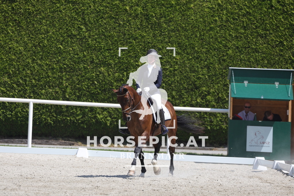 0P6A6050 | Willkommen bei Brunnmayr - Design & Fotografie – Ihrem Spezialisten für Reitturniere und Pferdeveranstaltungen in Oberösterreich, Salzburg und Bayern! Seit über 17 Jahren sind wir leidenschaftlich dabei.