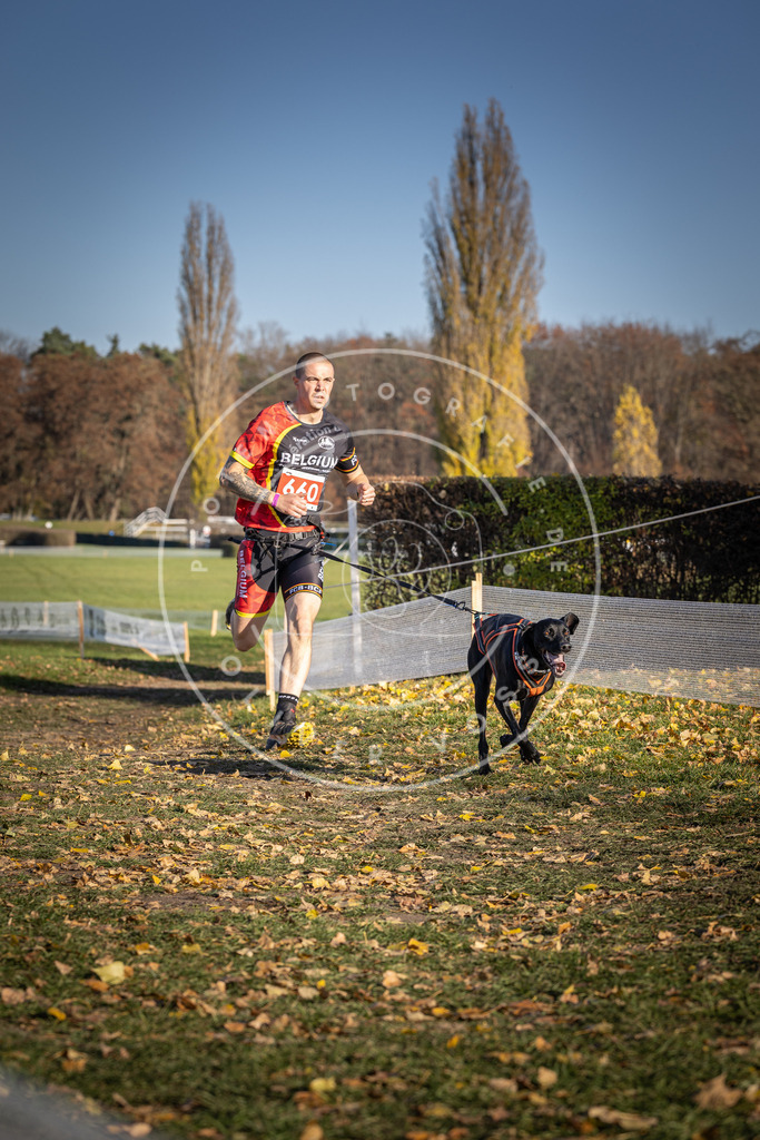 CaniXpix_DV3A0656 | Hundefotografie, Tierfotograf, Pfotenfotografie, Fotoshooting Hund, Hunde Portrait, Hundesport, Hundeportraits, Heideshooting, Hunde, Sportfotograf, Hundefotograf, Turnierhundsport, THS,  - Realisiert mit Pictrs.com