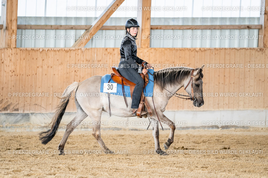 DSC09258 | Pferdegrafie