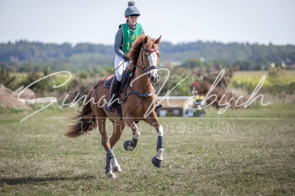 20250907-_3LI1789 | Tierfotografie Pferde, Hunde, Katzen, Haustiere.
Turnierfotografie Reitturniere, Reiten, Springreiten, Dressur in Hanau, dem Main-Kinzig-Kreis und dem Rhein-Main- Gebiet um Frankfurt