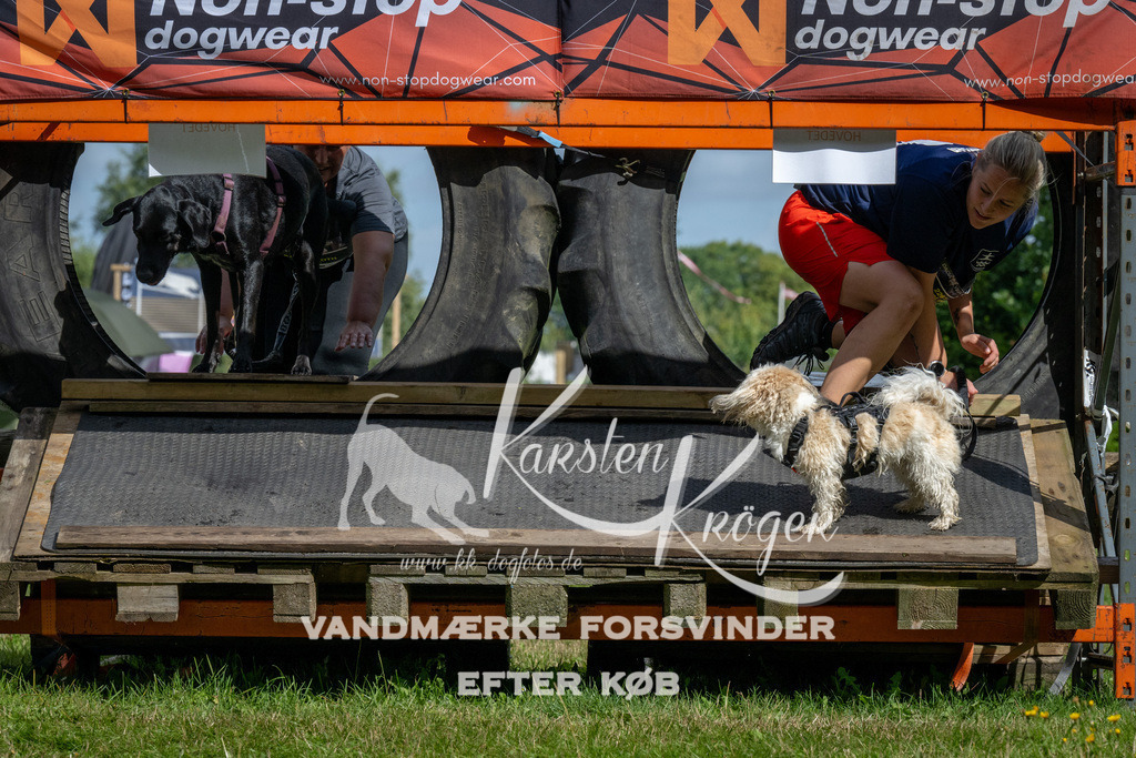 1113_ZZ92070 | kk-dogfotos