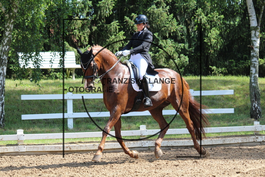 IMG_6813 | franziskalange - Realisiert mit Pictrs.com