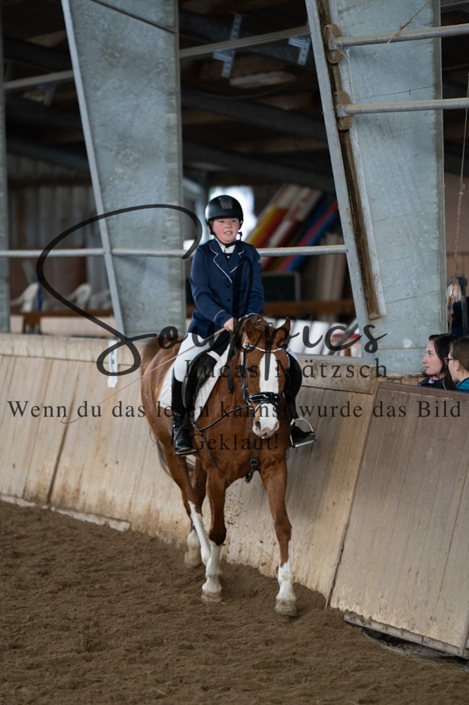 A7V05009 | Pferdefotograf