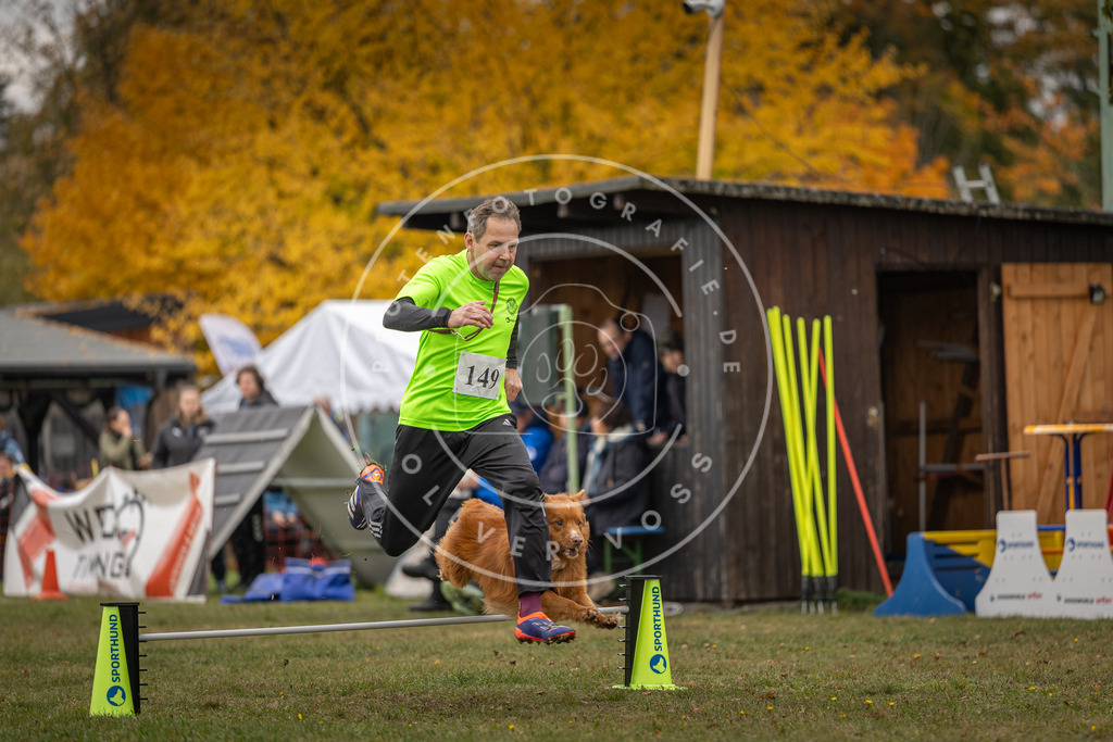 Pfotenfotografie_DV3A6084 | Hundefotografie, Tierfotograf, Pfotenfotografie, Fotoshooting Hund, Hunde Portrait, Hundesport, Hundeportraits, Heideshooting, Hunde, Sportfotograf, Hundefotograf, Turnierhundsport, THS,  - Realisiert mit Pictrs.com