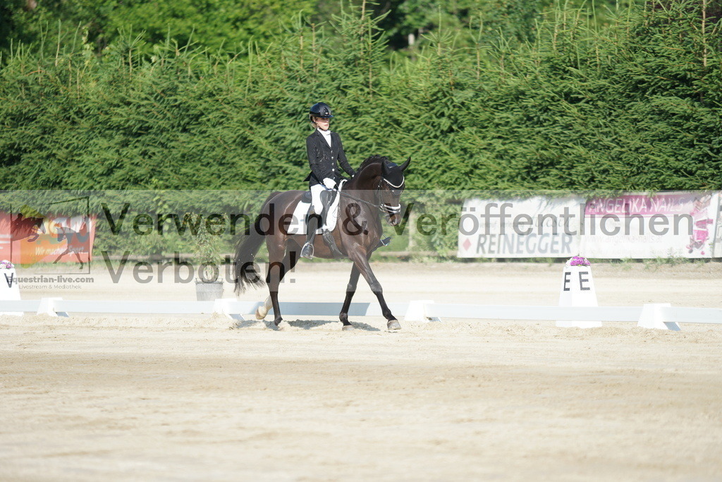 DSC01283 | equestrian-live-com