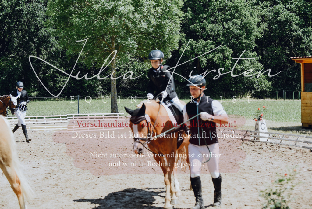 DSC_2610 | Pferde- und Turnierfotografie in Westsachsen. Pferdeportraits, Auftragszeichnungen und intuitive Kunst.